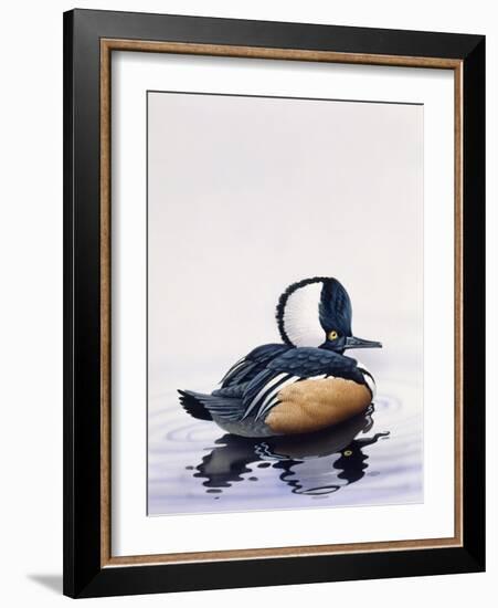 Hooded Merganser-Harro Maass-Framed Giclee Print