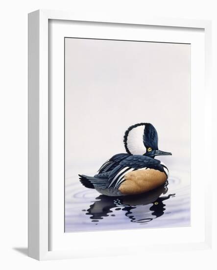 Hooded Merganser-Harro Maass-Framed Giclee Print