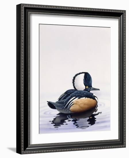 Hooded Merganser-Harro Maass-Framed Giclee Print