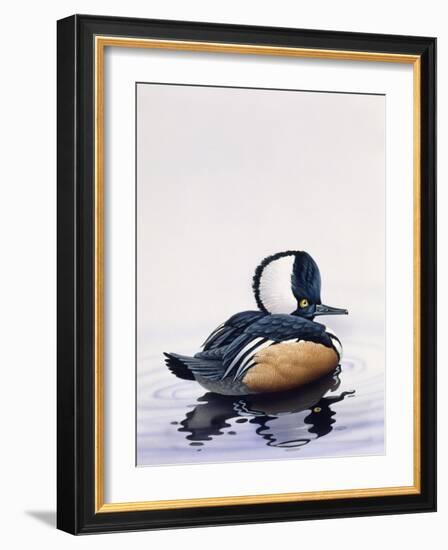 Hooded Merganser-Harro Maass-Framed Giclee Print