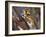 Hooded Oriole on Branch-DLILLC-Framed Photographic Print