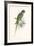 Hooded Parakeet-Edward Lear-Framed Premium Giclee Print