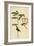 Hooded Warbler-John James Audubon-Framed Art Print