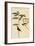 Hooded Warbler-John James Audubon-Framed Art Print