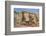 Hoodoo sandstone landscape, Grand Staircase-Escalante, Utah-Howie Garber-Framed Photographic Print