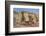 Hoodoo sandstone landscape, Grand Staircase-Escalante, Utah-Howie Garber-Framed Photographic Print