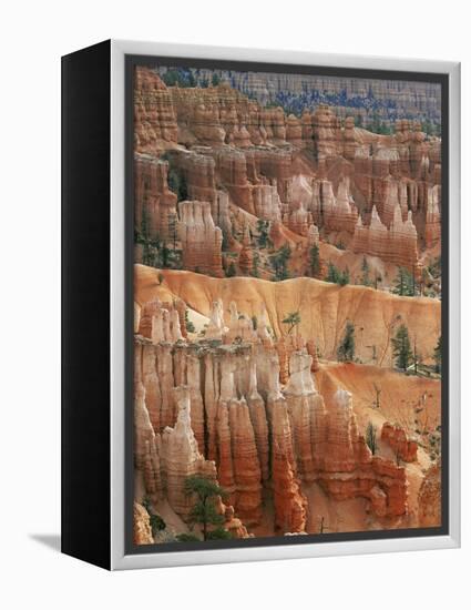 Hoodoo Sandstone Structures, Bryce Canyon National Park, Utah, USA-Pete Cairns-Framed Premier Image Canvas