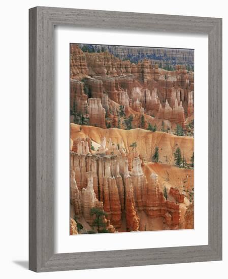 Hoodoo Sandstone Structures, Bryce Canyon National Park, Utah, USA-Pete Cairns-Framed Photographic Print