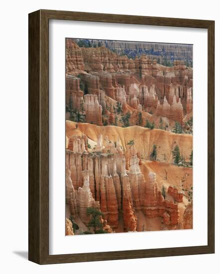 Hoodoo Sandstone Structures, Bryce Canyon National Park, Utah, USA-Pete Cairns-Framed Photographic Print