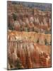 Hoodoo Sandstone Structures, Bryce Canyon National Park, Utah, USA-Pete Cairns-Mounted Photographic Print