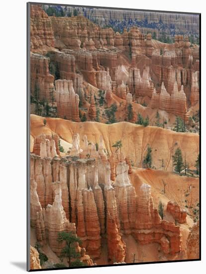 Hoodoo Sandstone Structures, Bryce Canyon National Park, Utah, USA-Pete Cairns-Mounted Photographic Print