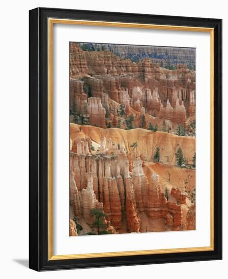 Hoodoo Sandstone Structures, Bryce Canyon National Park, Utah, USA-Pete Cairns-Framed Photographic Print