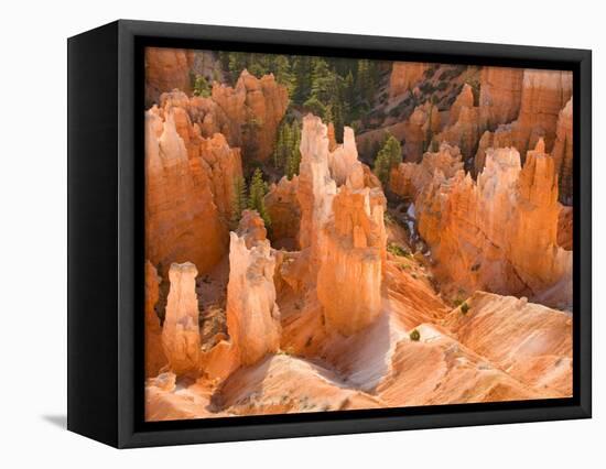 Hoodoos in Bryce Canyon from Inspiration Point, Bryce Canyon National Park, Utah, USA-Jamie & Judy Wild-Framed Premier Image Canvas