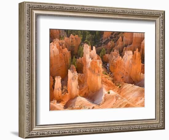 Hoodoos in Bryce Canyon from Inspiration Point, Bryce Canyon National Park, Utah, USA-Jamie & Judy Wild-Framed Photographic Print