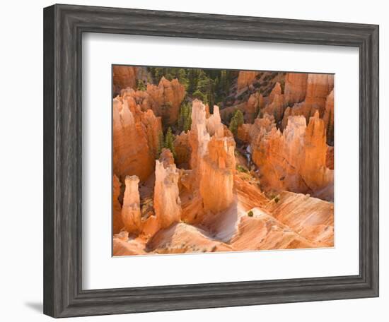 Hoodoos in Bryce Canyon from Inspiration Point, Bryce Canyon National Park, Utah, USA-Jamie & Judy Wild-Framed Photographic Print