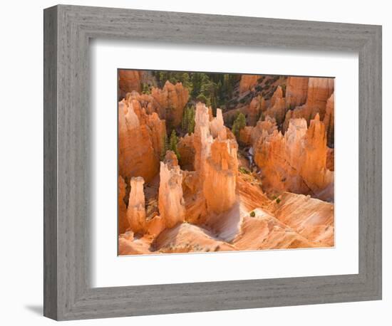 Hoodoos in Bryce Canyon from Inspiration Point, Bryce Canyon National Park, Utah, USA-Jamie & Judy Wild-Framed Photographic Print