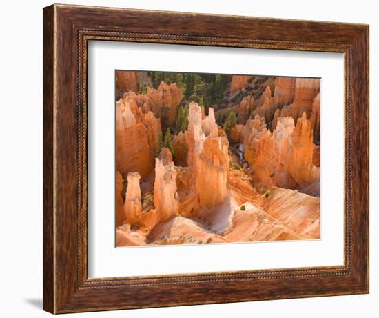 Hoodoos in Bryce Canyon from Inspiration Point, Bryce Canyon National Park, Utah, USA-Jamie & Judy Wild-Framed Photographic Print