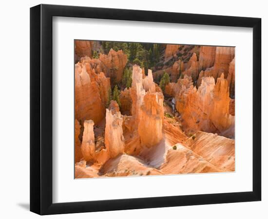 Hoodoos in Bryce Canyon from Inspiration Point, Bryce Canyon National Park, Utah, USA-Jamie & Judy Wild-Framed Photographic Print