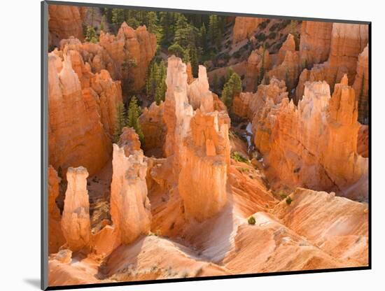 Hoodoos in Bryce Canyon from Inspiration Point, Bryce Canyon National Park, Utah, USA-Jamie & Judy Wild-Mounted Photographic Print