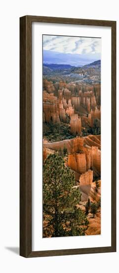 Hoodoos of Bryce Canyon in Bryce Canyon National Park, Utah, Usa-null-Framed Photographic Print