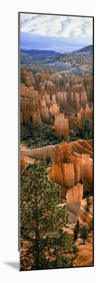 Hoodoos of Bryce Canyon in Bryce Canyon National Park, Utah, Usa-null-Mounted Photographic Print