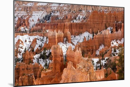 Hoodoos - Spires Created by Erosion - at Bryce Canyon National Park in Utah., 2019 (Photo)-Ira Block-Mounted Giclee Print