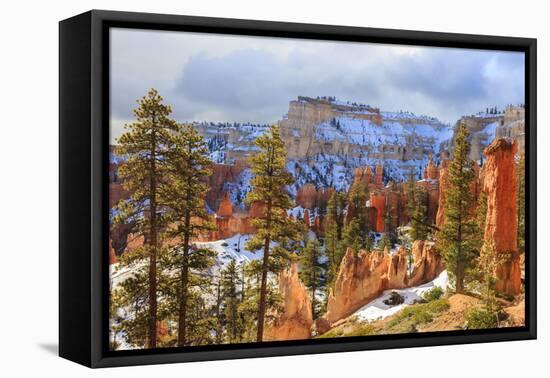 Hoodoos Strongly Lit by Early Morning Sun with Heavy Cloud-Eleanor Scriven-Framed Premier Image Canvas