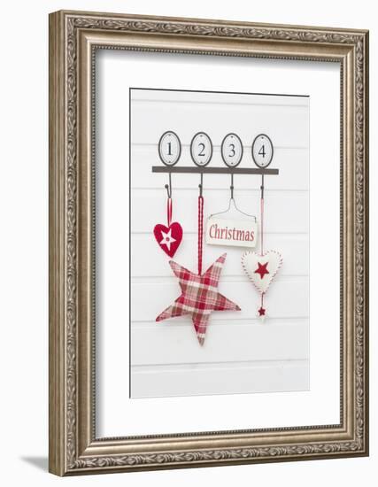 Hook Strip with Christmas Decoration-Andrea Haase-Framed Photographic Print