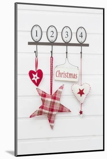 Hook Strip with Christmas Decoration-Andrea Haase-Mounted Photographic Print