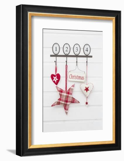 Hook Strip with Christmas Decoration-Andrea Haase-Framed Photographic Print