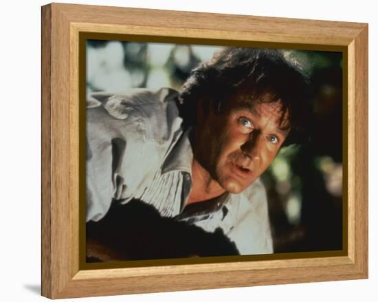 Hook-null-Framed Stretched Canvas