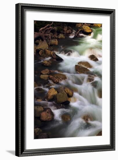 Hooksack River, Mount Baker-Snoqualmie National Forest, Washington, USA-Michel Hersen-Framed Photographic Print