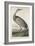 Hooping Crane, 1835-John James Audubon-Framed Giclee Print