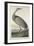 Hooping Crane, 1835-John James Audubon-Framed Giclee Print