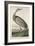 Hooping Crane, 1835-John James Audubon-Framed Giclee Print