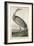 Hooping Crane, 1835-John James Audubon-Framed Giclee Print