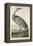 Hooping Crane, 1835-John James Audubon-Framed Premier Image Canvas