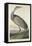 Hooping Crane, 1835-John James Audubon-Framed Premier Image Canvas