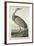 Hooping Crane, 1835-John James Audubon-Framed Giclee Print