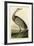 Hooping Crane-John James Audubon-Framed Art Print