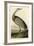 Hooping Crane-John James Audubon-Framed Art Print