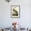 Hooping Crane-John James Audubon-Framed Art Print displayed on a wall