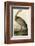 Hooping Crane-John James Audubon-Framed Art Print