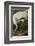 Hooping Crane-John James Audubon-Framed Art Print