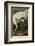 Hooping Crane-John James Audubon-Framed Art Print