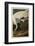 Hooping Crane-John James Audubon-Framed Art Print