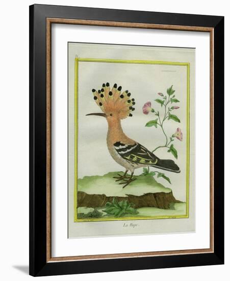 Hoopoe-Georges-Louis Buffon-Framed Giclee Print