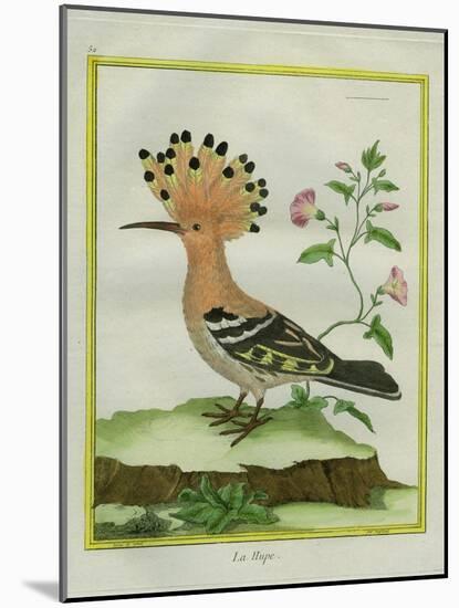 Hoopoe-Georges-Louis Buffon-Mounted Giclee Print