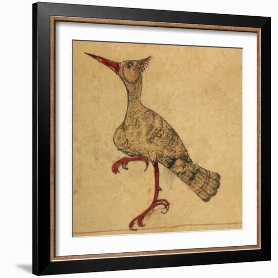 Hoopoe-Aristotle ibn Bakhtishu-Framed Giclee Print