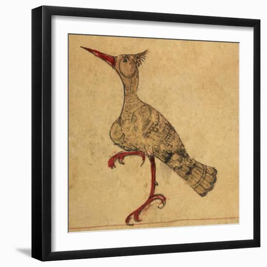 Hoopoe-Aristotle ibn Bakhtishu-Framed Giclee Print